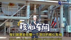 Schlammverbrennungsanlage Behandlung und Beseitigung / Schlammverbrennung 380V/220V