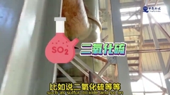 60% bis 80% Feuchtigkeit Zwillingschrauben Abwasserschlammverbrennung mit fortgeschrittenem automatisiertem System